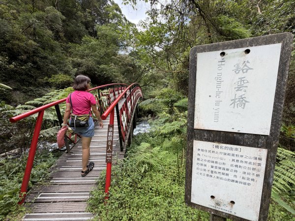 九寮溪步道(戈霸瀑布)2026.06.193079261