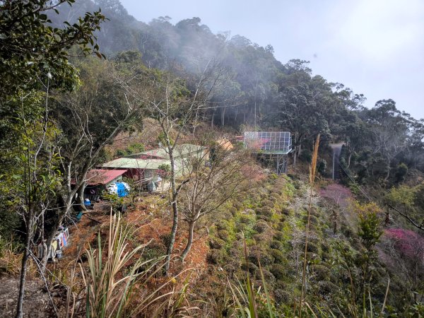 2026-02-08 藤枝山2998432