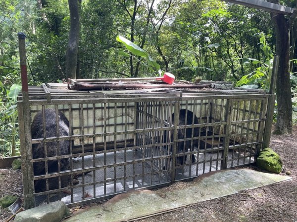 燦光寮古道2903102