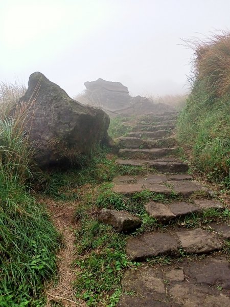 【臺灣百大必訪步道】七星主、東峰登山步道1186783