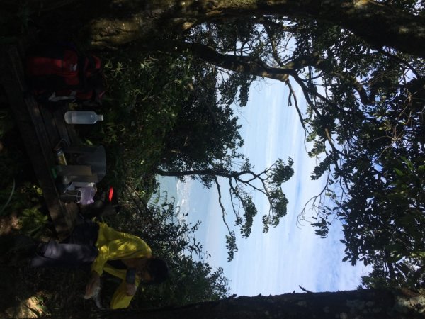 六寮崙山、雞罩山、白雞山8字走2371123