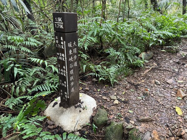 淡蘭古道暖東舊道上五分山再到十分車站2033317