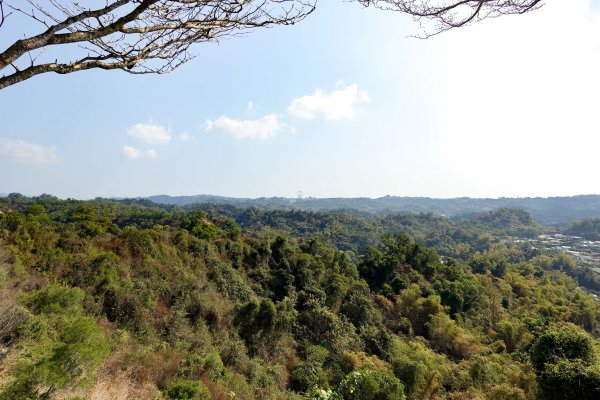 觀音山｜大社觀音山小百岳3002731