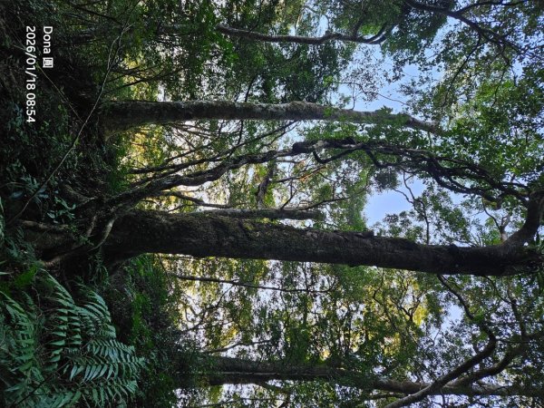 南插天山.魯培山.上宇內山(南插北峰)2989755