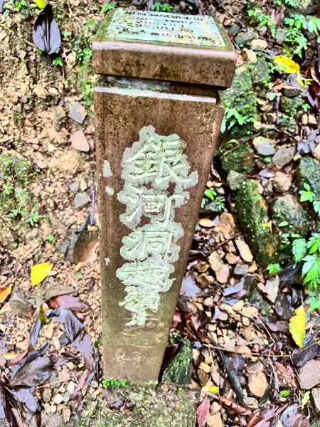 🌈7/26(六)銀河洞+樟樹湖步道+木柵動物園✨FB：熊熊趴爬走🌈2846044