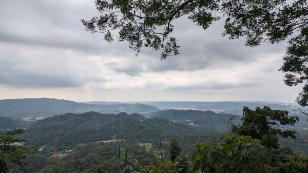 赤柯山 東獅頭山2501619