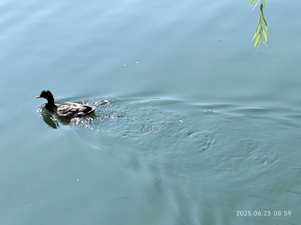 北京北海公園2829658