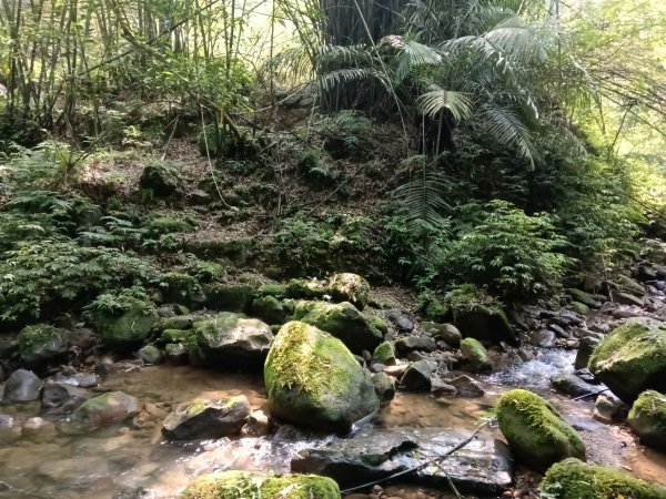 平溪區大華車站-乾坑古道石龜將軍-平湖西步道-番子坑山-平湖大厝-十分車站3037264