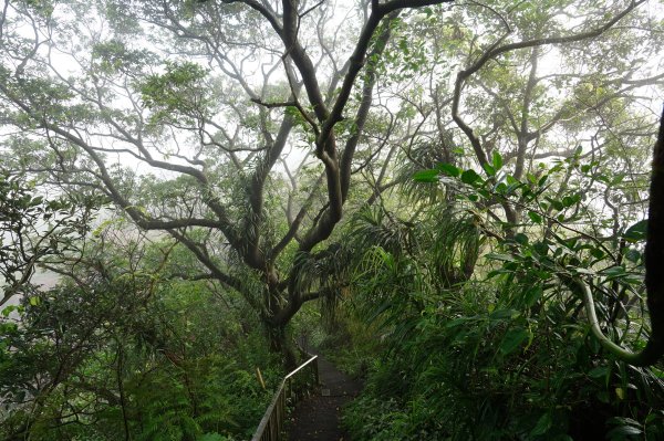 基隆 仁愛 紅淡山、金交椅山2714983