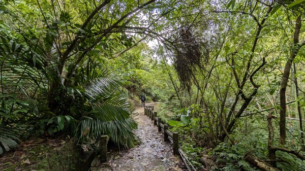 114.11.15平溪小黃山段-望古瀑布段之旅2937802