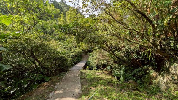 114.10.11石荀尖之旅2912041