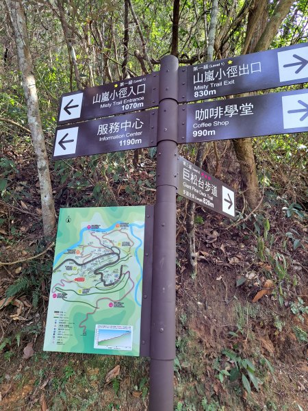 小出山(惠蓀林場上)202304162118357