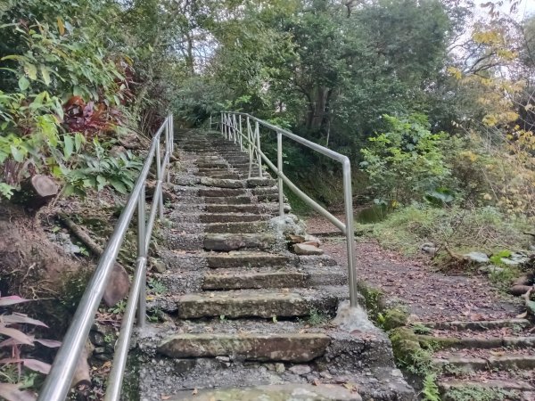 雙溪區聖南寺朝山古道+大竹林山(未果)2963585