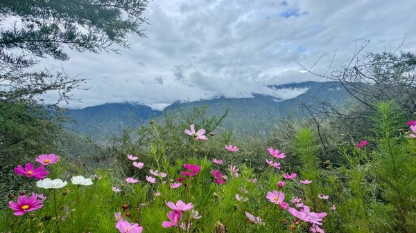 川藏33天深度之旅💙#稻城亞丁-來古冰川2901986