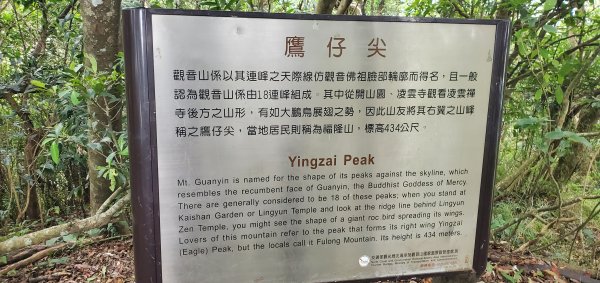 2024-06-15觀音山【福隆山、尖山(占山)登山步道】O走2528241