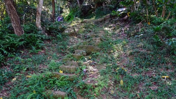 冷飯坑古道,烏月古道2292945