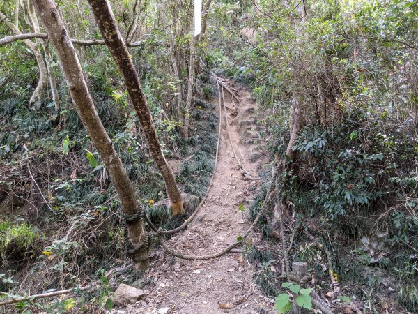 20210516屏東獅子女仍山/女乃山1390813