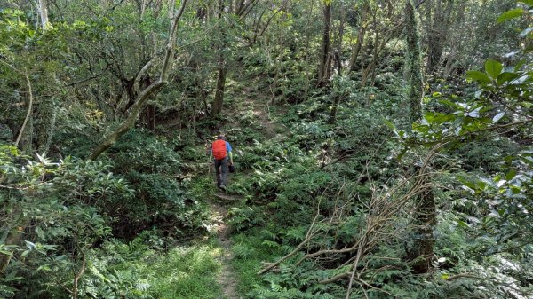 114.06.28內平林山-番子坑山-平湖森林遊樂區之O型2824270