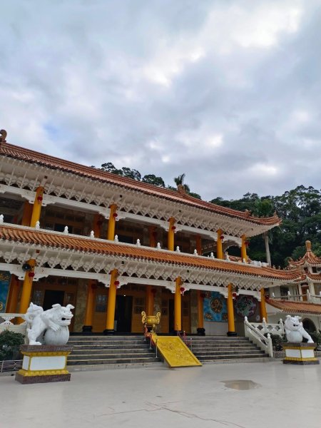 青潭越嶺政大-賞梅花🌸安坑🐦嘴四秀2691719