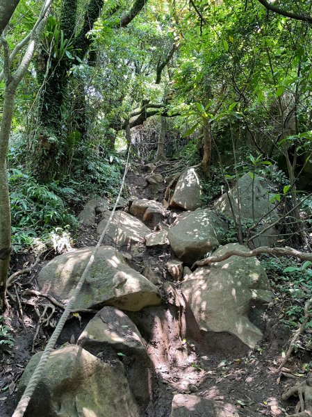 大屯山系6連峰2151731