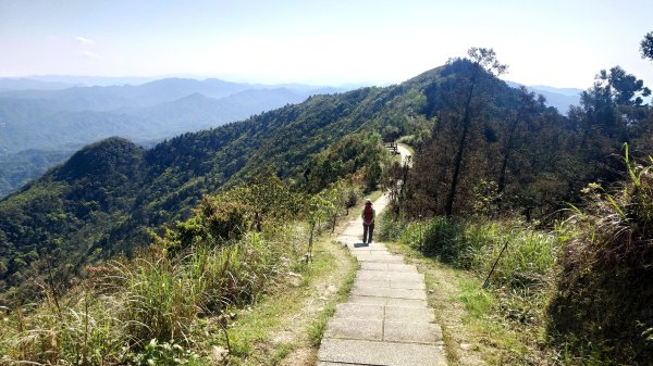 春天鮮綠的呢喃基隆荖寮坑古道上望古山登五分山O型2747330