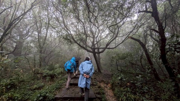 114.11.01旅聯網21週年活動之七星山-七星山東峰-七星公園-夢幻湖2928912