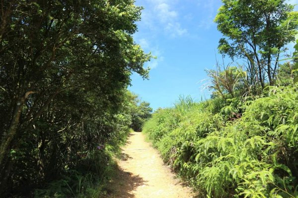 〔石碇〕鱷魚島🐊🐊🐊，晴空萬里下的萌萌淡碇鱷   最美。石碇 千島湖 土虱頭  永安景觀步道2213352