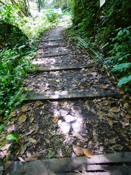 南坪、馬胎古道1001631