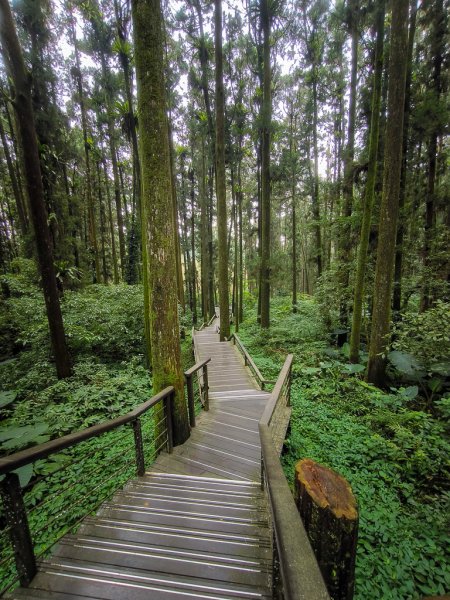 2025-09-14 奮起湖2887434