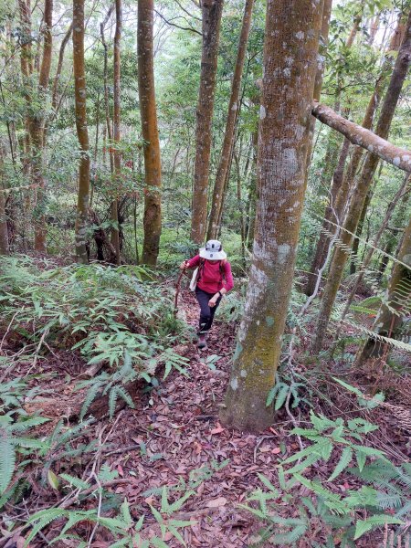 我音山+國姓糯米橋202205211819827