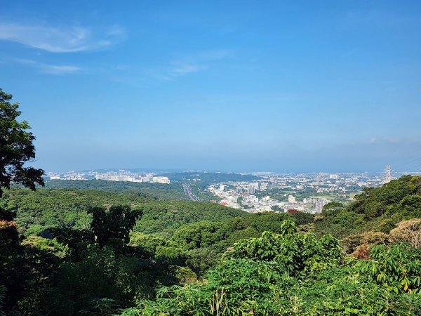新竹湖口｜萬年道、仁和步道、金獅古道、漢卿步道2912216