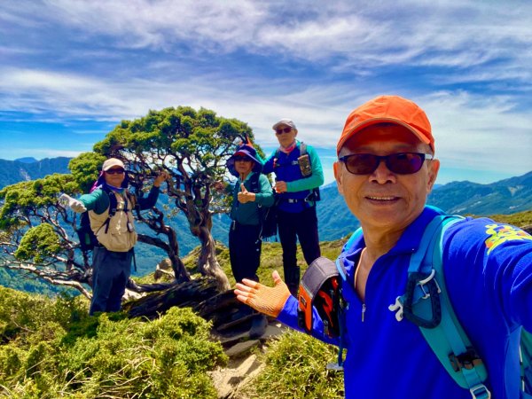 合歡山七連峰的空中花園賞花趣3073100
