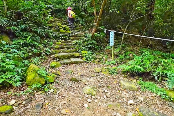 淡蘭古道中路百年山徑~暖東峽谷大環步道2846401