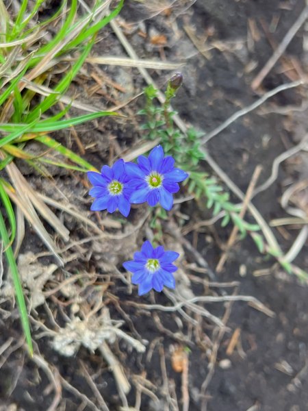 ~ 池 有 山 / 品 田 山 ~2854050