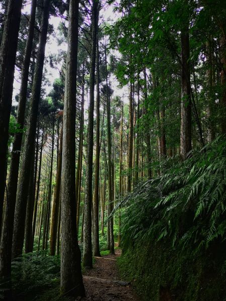 志繼山、東眼山、拉卡山、卡外山O型364480