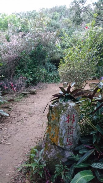 象山-拇指山-南港山-九五峰-虎山溪511842