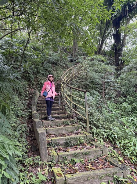 土庫岳-202503172770507