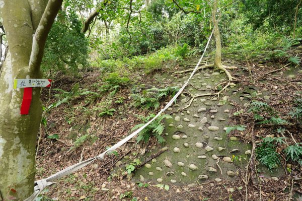 臺北 北投 嘎嘮別山、稻香山、貴子坑山2760557