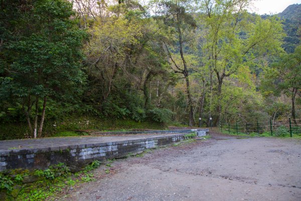 【花蓮】瓦拉米步道春遊823349