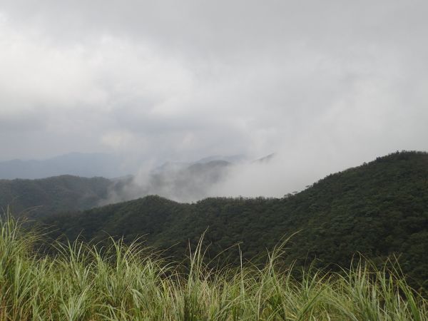 宜蘭 烘爐地山-桶後溪溯源 O型連走157550