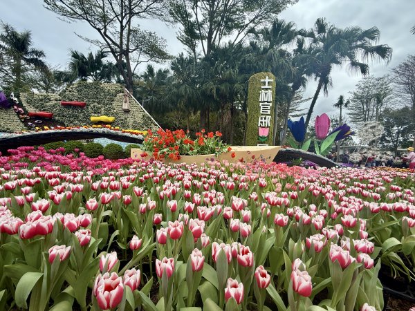 士林官邸~鬱金香2717315