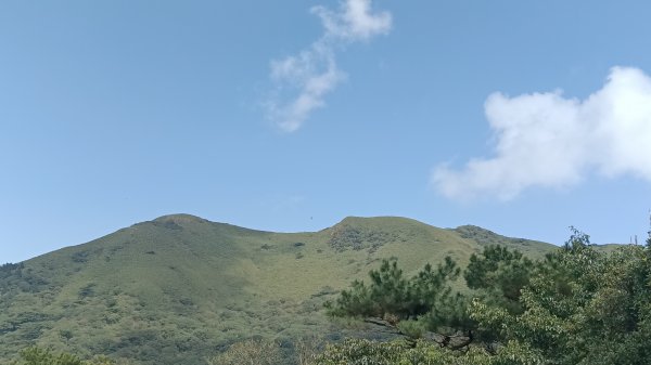 只有大屯山2114471