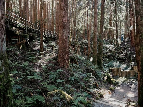 1141122特富野古道2945762