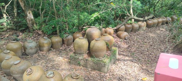 五酒桶山步道2789563