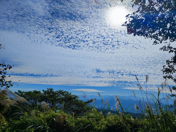 飛鳳山觀日坪古道2656254