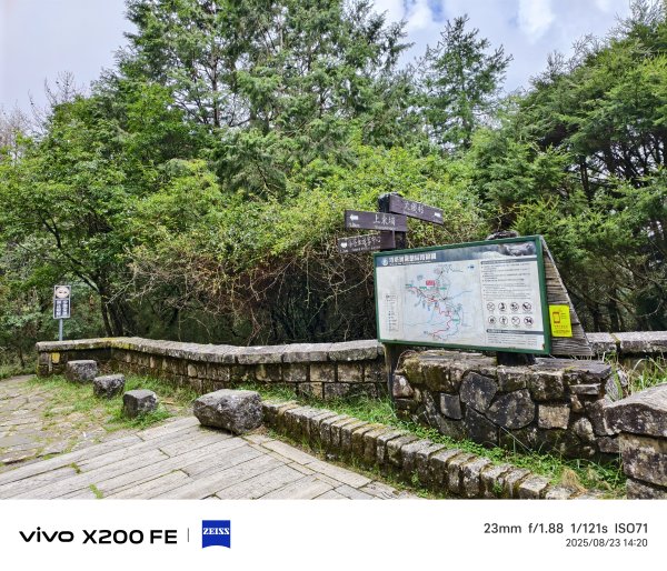 [玉山尋寶任務-05/12] 2025_0823 塔塔加步道(大鐵杉登山步道)2869639