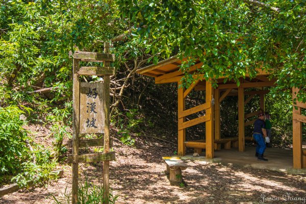 [高雄]壽山遊猴群動物園2580361