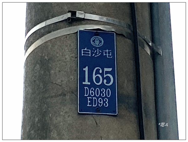 塗崁頂山、西南峰、心形公路、嶺頂步道 連走2971775