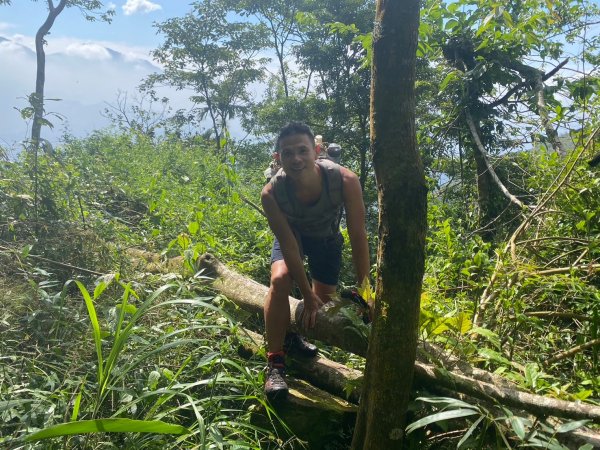 三寶山(烏心石山.鳩州嶺.尖凍山)步道【變成夢魘的大秘寶】2639869