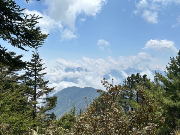 25/04/11羊頭山單攻2760061